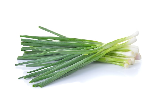 Bunch of Green Onion Isolated