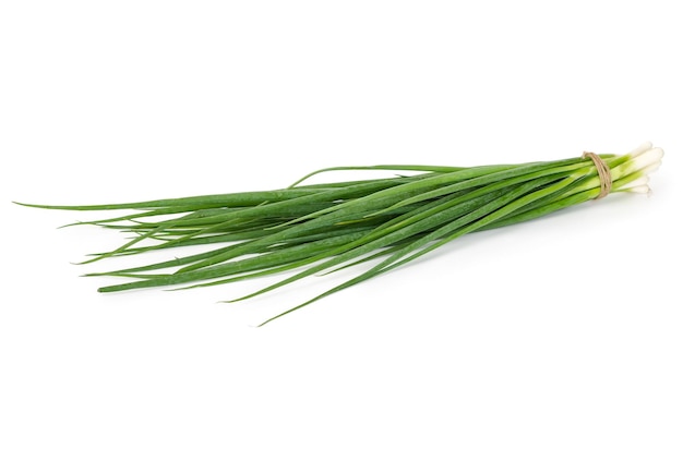 Bunch of green onions isolated on white background