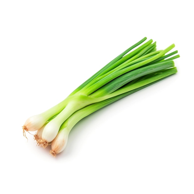 A bunch of green onions on a white background.