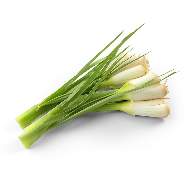 A bunch of green onions with the top left corner.