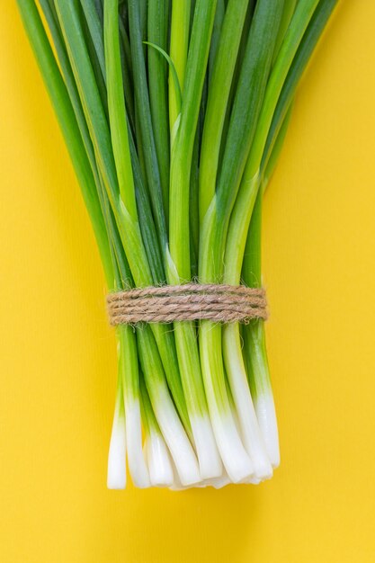 Bunch of green onions on yellow background