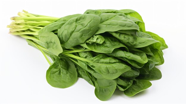 A bunch of green spinach vegetable on a white background