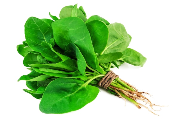 Bunch of green spinach on white background