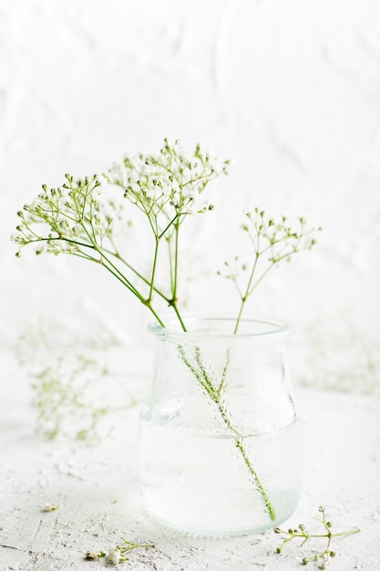 Bunch of Gypsophila