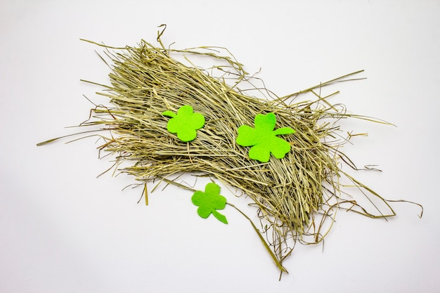 Bunch of hay isolated on white background, felt clover leaves