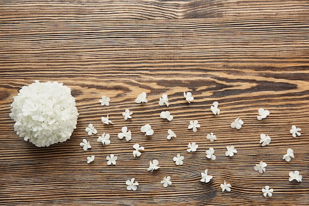 Bunch of hydrangea flowers on wooden background