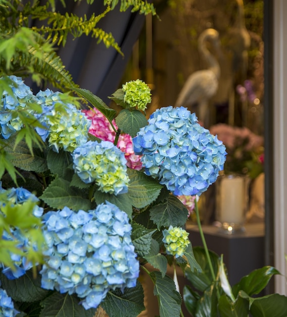 Photo a bunch of hydrangeas with green leaves and a white bird in the background.