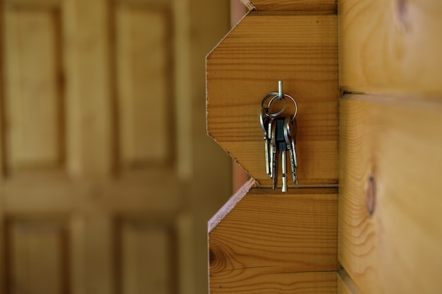 A bunch of keys to the new house hangs on a hook against the\
background of the front door.