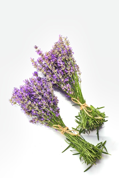 Mazzo di fiori di lavanda isolato