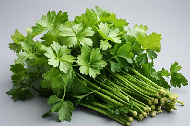 Bunch leaves parsley isolated over alpha on a white background