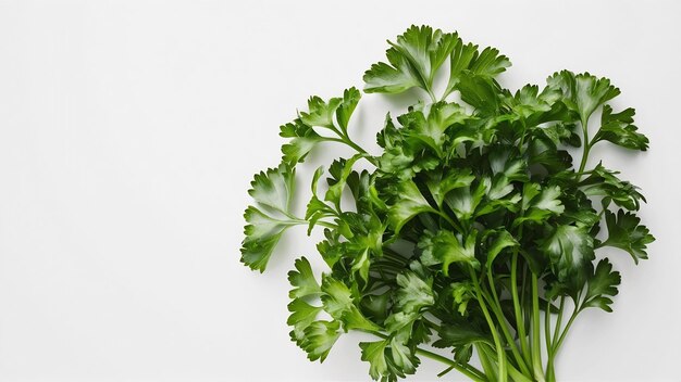 Photo bunch leaves parsley isolated over white background