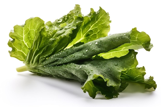 A bunch of lettuce with water droplets on it