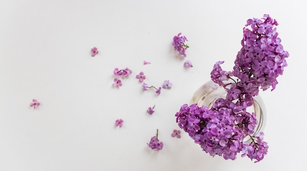 Bunch lilac in vase on table