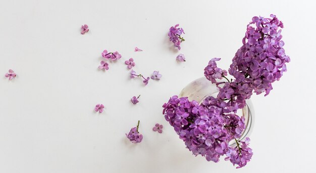 Bunch lilac in vase on table