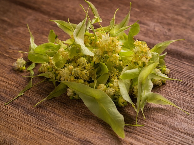 Mazzo di fiori di tiglio e foglie su tavola di legno per tisana tiglio tisana e cure mediche naturali