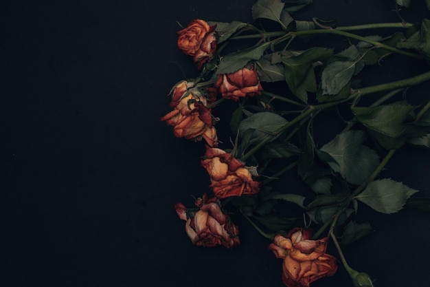 bunch of little dry roses on black background