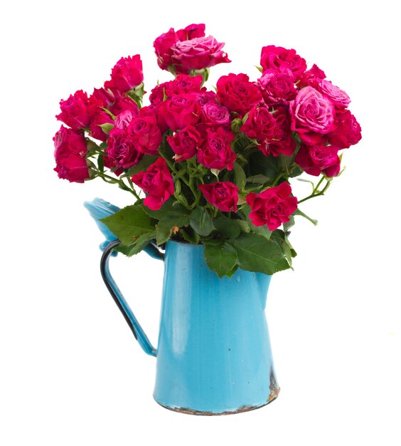 Bunch  of mauve roses in blue pot  isolated on white background