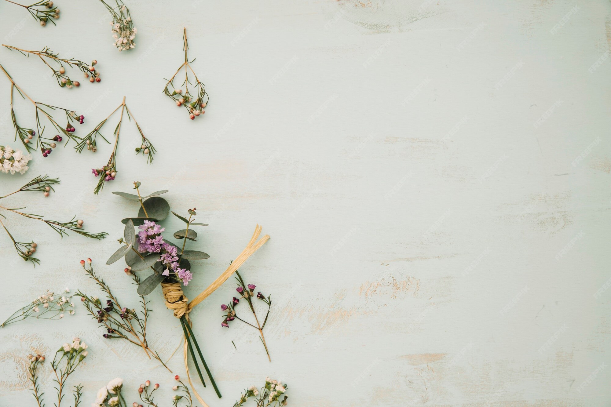 Dried Flowers 写真 14 000 高画質の無料ストックフォト Dried Flowers 写真 14 000 高画質の無料ストックフォト