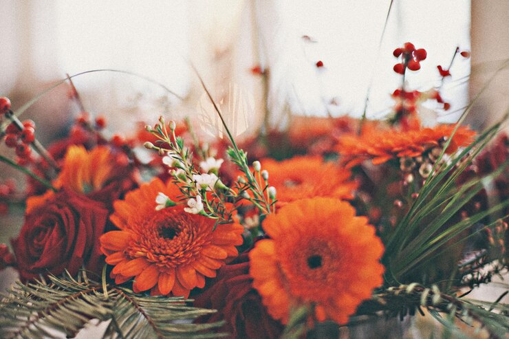 Photo bunch of orange flowers