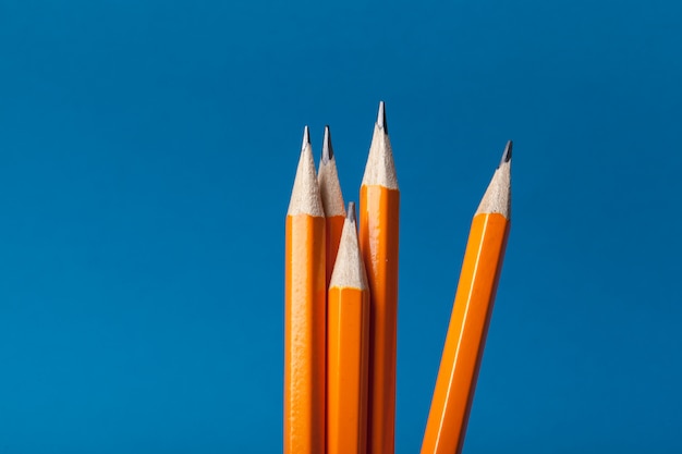 Bunch of orange pencils