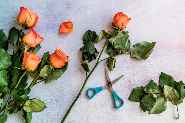 Bunch of orange roses ready for cutting