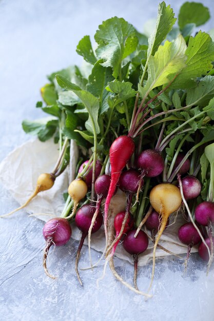 Bunch of organic radishes