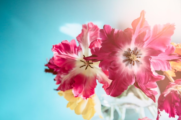 Bunch of Parrot Style Tulips