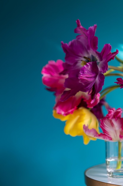 Bunch of parrot style tulips