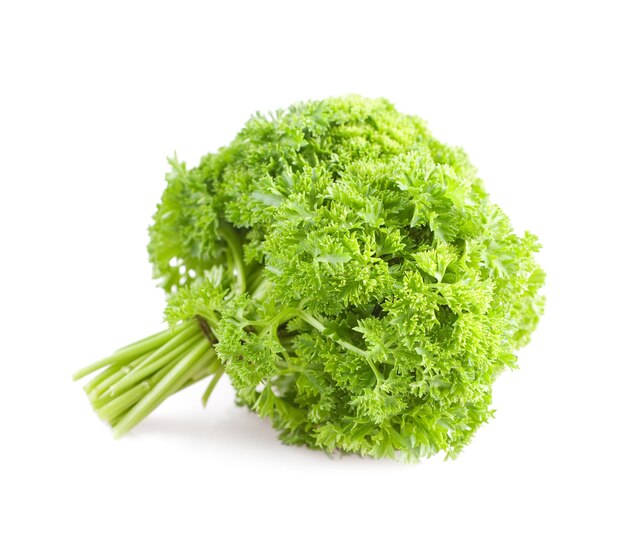 Bunch of parsley isolated on white