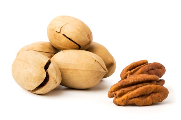 A bunch of pecans on white, closeup.