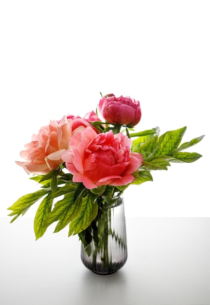 Bunch of peonies in vase isolated on white