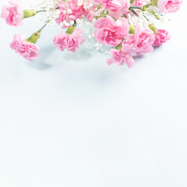 밝은 중립 배경에 있는 분홍색 섬세한 카네이션과 석고 다발 휴일 인증서 꽃 가게 광고 모형 해피 어머니 또는 발렌타인 데이 텍스트 정사각형 사진을 위한 공간 복사