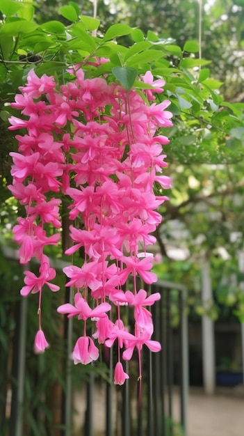 Photo a bunch of pink flowers hanging from a tree