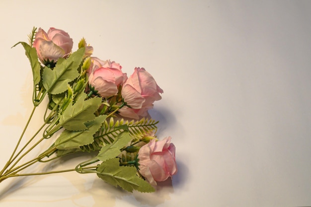 A bunch of pink flowers on a white background