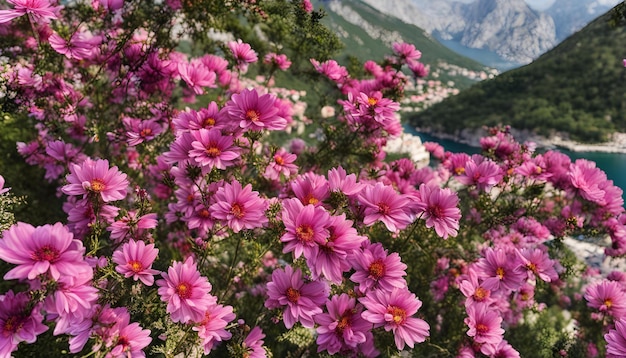 a bunch of pink flowers with the mountains in the background