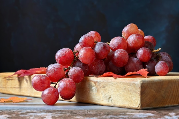 Bunch of pink grapes on a dark background