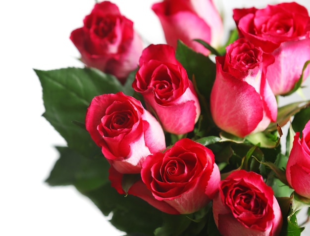 Bunch of pink roses isolated on white