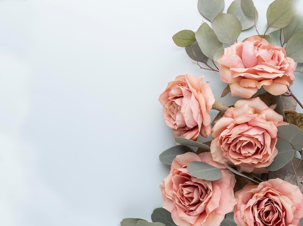 Bunch of pink roses on pastel background. Card Concept, pastel colors, close up image, copy space. Flatlay.