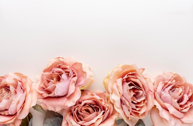 Bunch of pink roses on pastel background. Card Concept, pastel colors, close up image, copy space.