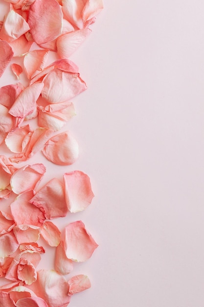 a bunch of pink roses with yellow and red petals