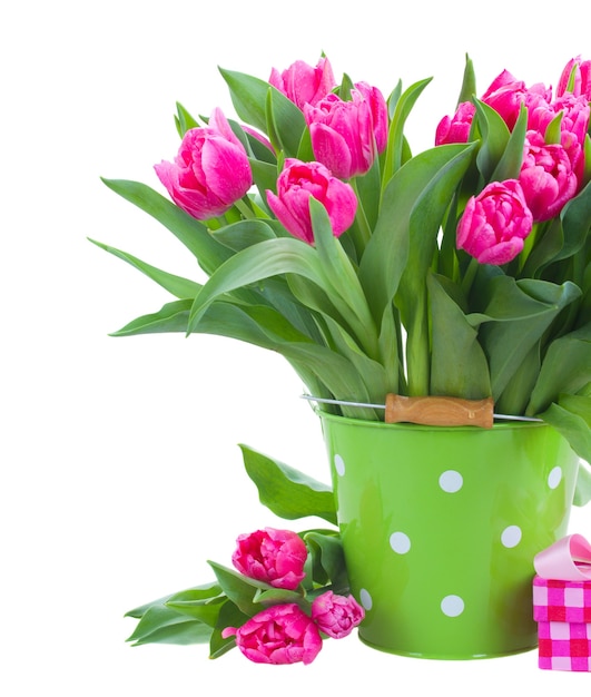 Bunch  of pink tulips in green  pot isolated on white