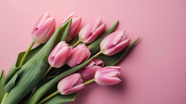 A bunch of pink tulips on a pink background