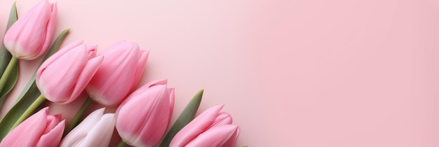 A Bunch of Pink Tulips on a Pink Background