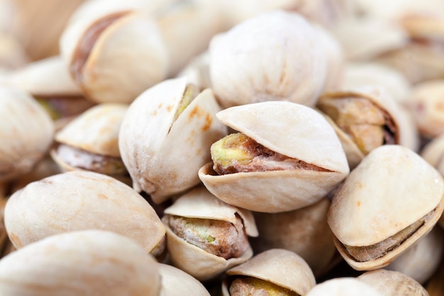 A bunch of pistachio nuts in salt and fried, ready for reception as a food