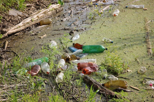 Букет из пластиковых бутылок брошен в воду. мусор, отходы, загрязнение окружающей среды и природы.