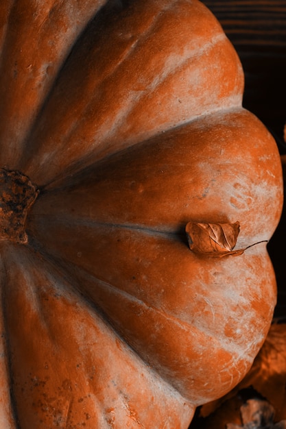 A bunch of pumpkins and apples. Halloween pumpkins on wooden table against dark background