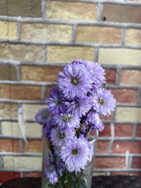 A bunch of purple flowers are in a vase