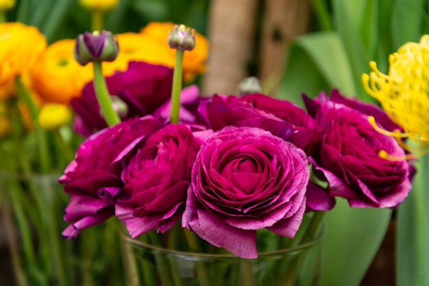 緑の葉に紫のラナンキュラスの花の束