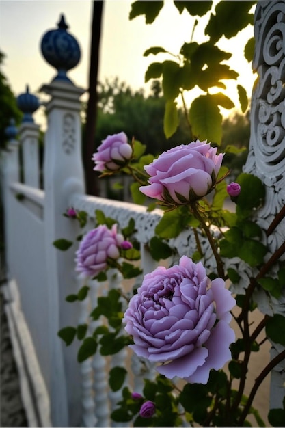 Photo bunch of purple roses sitting on top of a white fence generative ai