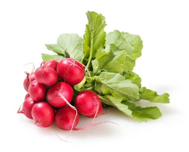 Bunch of radish isolated on white background